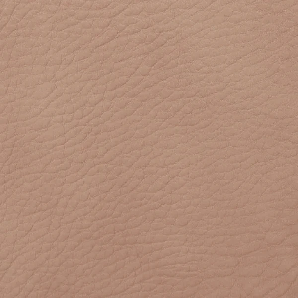 Vita Style + – Almond 170